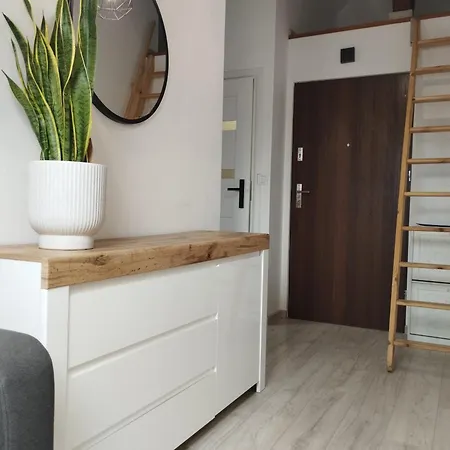Vip Apartment Gniezno