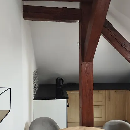 Apartment Vip Gniezno