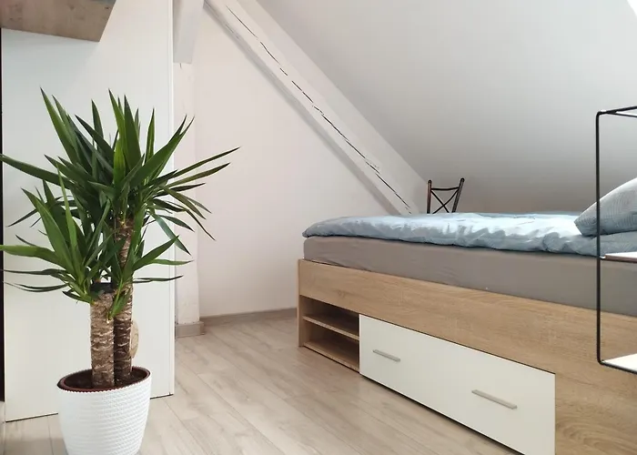 Vip-pokoje,sniadanie, Gniezno